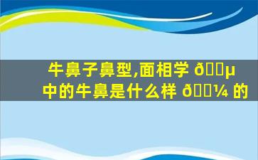 牛鼻子鼻型,面相学 🌵 中的牛鼻是什么样 🌼 的